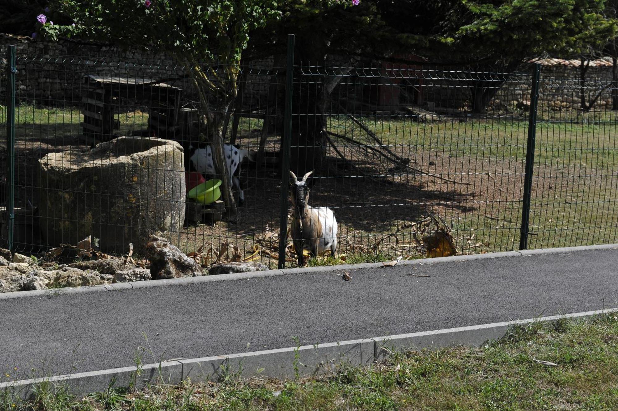 Gites Jardin-Darcy - Piscine Au Sel Bois Esterno foto
